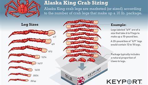 Crab Leg Size Chart