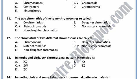 Chromosomes & DNA - Medical College Admission Test (MCAT) Preparation