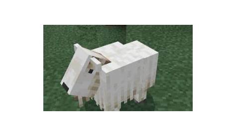 How to Tame a Goat in Minecraft. - Wrost Game