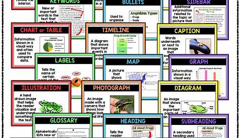 Nonfiction Text Features - anchor chart posters & worksheets - Mrs