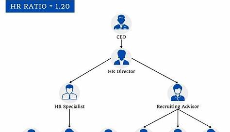 hr org chart examples