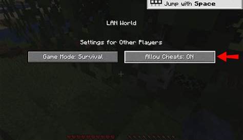 how to turn on cheats minecraft