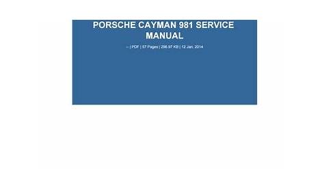 porsche cayman s 987.1 service manual