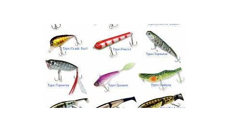 fishing lure types chart