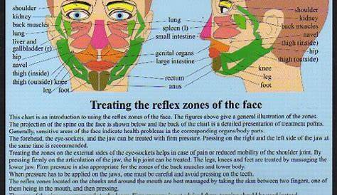high resolution face reflexology chart
