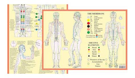 Meridians & Acupuncture Points