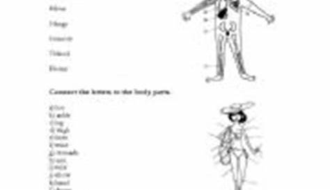 English teaching worksheets: Body parts
