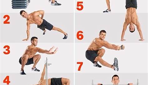 body solid exercise chart