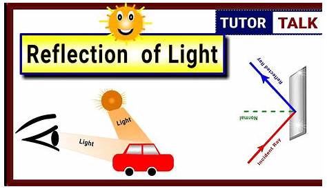 reflection of light class 10 worksheet