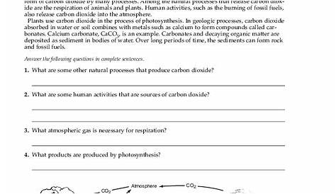 The Carbon Cycle Worksheet for 5th - 12th Grade | Lesson Planet