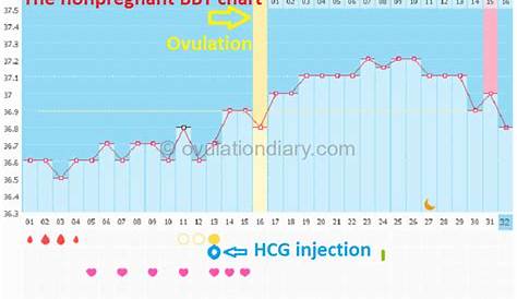hcg injection dosage chart for weight loss