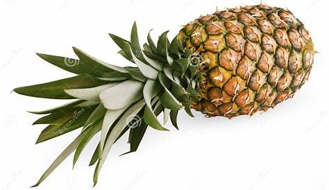 Ripe pineapple stock image. Image of exotic, nature, full - 22931285