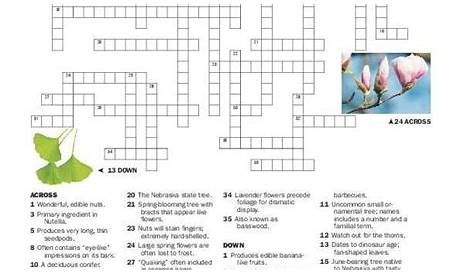 Crossword puzzle & clues | | journalstar.com