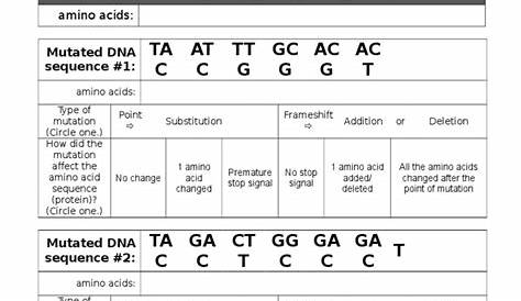 dna mutations practice worksheet answer