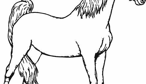Free Printable Horse Coloring Pages at GetColorings.com | Free