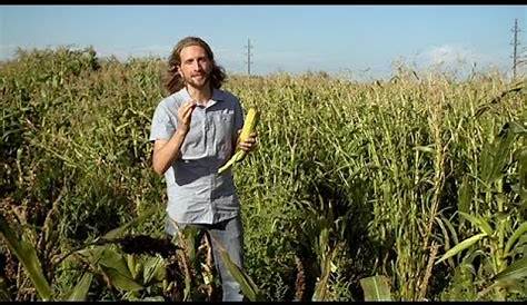 Popped Secret: The Mysterious Origin of Corn - Regeneration International