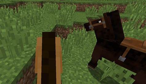 what do minecraft horses eat