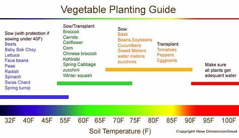 vegetable planting guide at specific temperatures | Planting vegetables