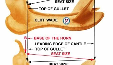 western saddle size chart