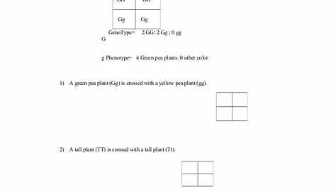 What Is A Punnett Square And Why Is It Useful In Genetics. / Sources of