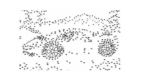 Extreme Connect The Dots Pdf - Owl Extreme Dot To Dot Connect The Dots