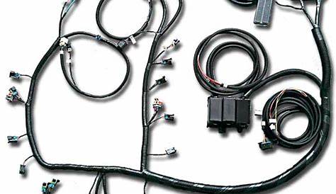 Ls3 Swap Wiring Harness : LS2 LH6 24x Stand Alone Engine Harness For