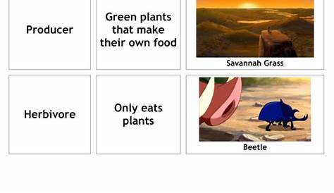 lion king food chain worksheet answers