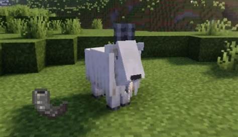 where do goats spawn minecraft