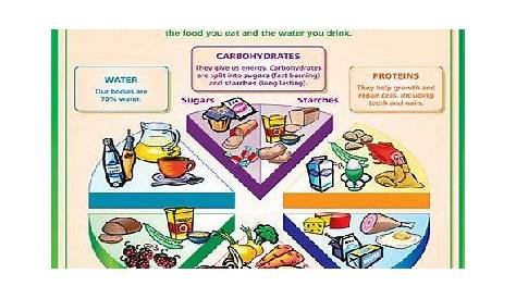 science diet food chart