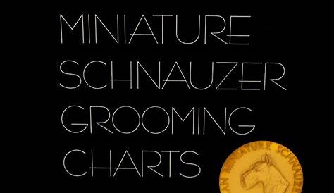 grooming chart for miniature schnauzer