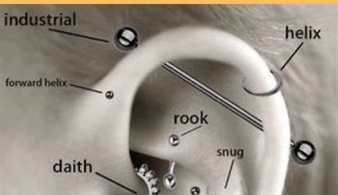 Ear Piercings Chart - Ear Piercings for Men and Women - PositiveFox.com