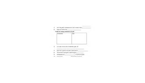 Chromosomes and Genes 7th - 9th Grade Worksheet | Lesson Planet