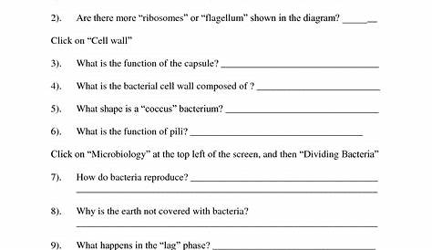 Viruses Structure And Function Worksheet Answers