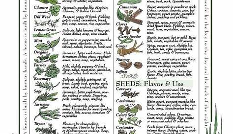 herbs uses chart
