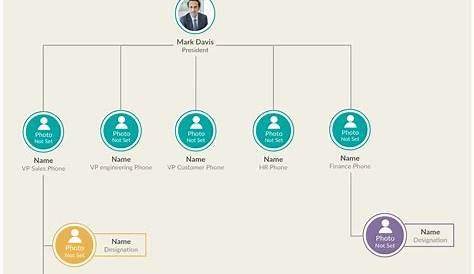 functional org chart template