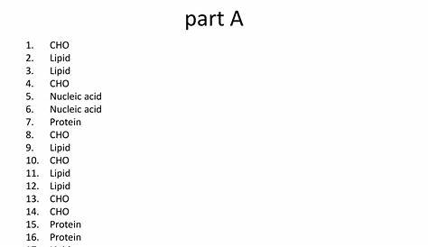 macromolecules worksheet #2 answers