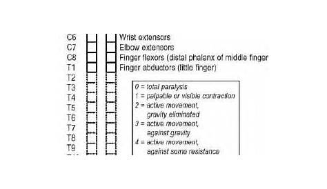 functional level spinal cord injury levels and function chart