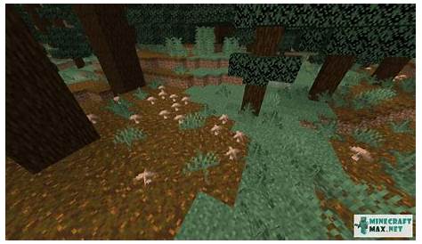 where can you find brown mushrooms in minecraft