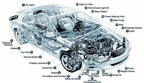 Car Diagram - Vehicle Diagram - Auto Chart - Automobile Illustration