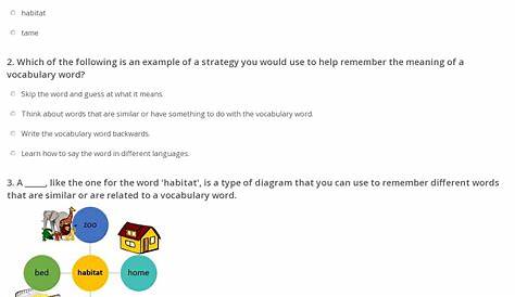 Quiz & Worksheet - 1st Grade Vocabulary Words | Study.com
