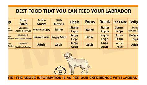 Lab Puppies Weight Chart / Labrador Weight Charts - How Much Should My