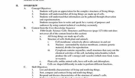 13 Best Images of Plant Structure And Function Worksheet - Plant Cell