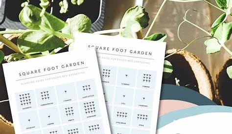 Square Foot Gardening Spacing Chart - Koeller Salict