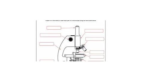 diagram of the compound light microscope - Google Search | Microscope