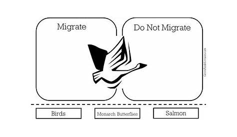 migration worksheet for kindergarten
