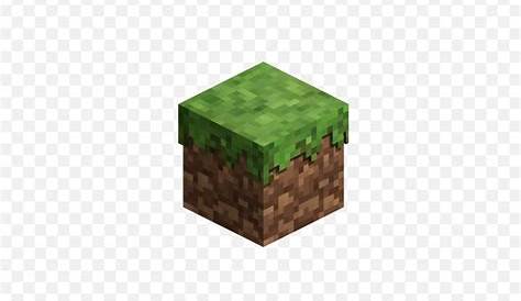 what minecraft block are you