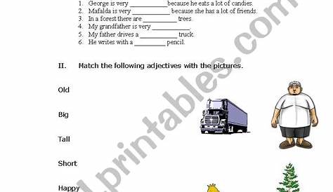English worksheets: Adjective worksheet