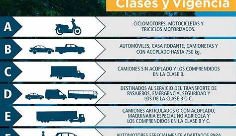 manual de conducir argentina