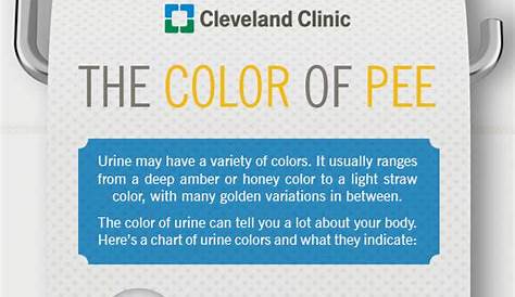 What the Color of Your Urine Says About Your Health - Grandparents.com