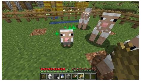 What Do Sheep Eat in Minecraft? - KiwiPoints
